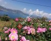 Harikalar Diyarı Sorkuncak Köyü
