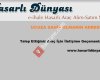 hasarlidunyasi.com