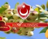 Hatay/Altınözü