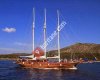 Haven sales and charter