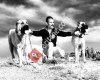 Haymana Kangal Çiftliği