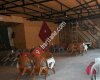 Hilal Çay Bahçesi