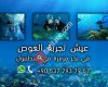 Hisham  Diving
