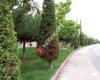 Hoccanli Ahmet