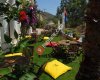 Hotel Olimpos.com