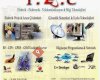 I.E.C Bilgi Teknolojileri