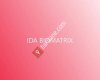 IDA Biomatrix Energie Healing