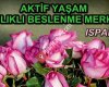 Isparta Aktif Yaşam Merkezi