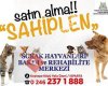 Isparta Belediyesi Sahipsiz Hayvan Geçici Bakımevi ve Barınağı