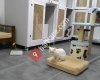 İstanbul Kedi Pansiyon