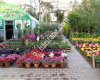 İzmir Fidancılık Bahçe Bakım