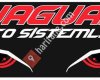 Jaguar Oto Sistemleri