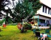Jile Sapanca piknik alanı çay bahçesi