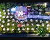 Kaan Çiçekçilik Park Sardunya Kır Düğün Bahçesi