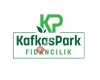 Kafkaspark Fidancılık
