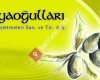 Kahyaoğulları Zeytinyağı