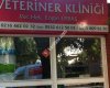 Kandilli Veteriner Klinigi