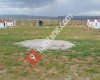 Kangal köpeği üretim çiftliği