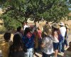 Kapadokya turları ve rehberlik hizmeti