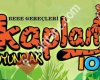 Kaplanoyuncak