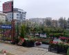 Kar Çiçek Peyzaj