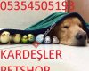 Kardeşler Petshop
