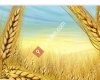 Kaya Tarım Gıda Hayvancılık ve Makina