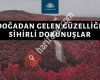 Kayhan Hobi
