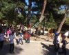 Kayı Boyu Çamlık Orman Parkı