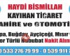 Kayihan zahire ve otomotiv