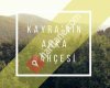 Kayra'nin Arka Bahçesi - Kayra's Backyard