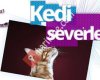 Kediseverler