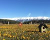 Keles Kaymakamlığı