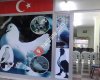Kemalpaşa güvercin