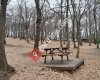 Kent Ormanı Piknik Alanı