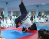 Ki-Musubi Aikido Platformu Mersin Kokyu Dojo (Atakan Utku Aikido)