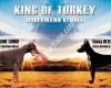King of Turkey Dobermann Kennel