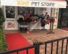King Pet Store - Boutique