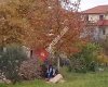 Kirişçiler Köyü Muhtarlığı