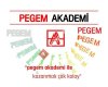 Kızıltepe PEGEM Akademi