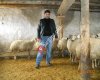 Kızzıklı Kasap Harun