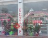 Kleopatra Eczanesi