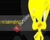 Komik Videolar