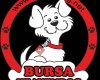 Köpek Cenneti -Köpek Üretim Çiftliği