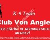 Köpek Eğitimi
