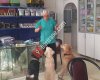 Körfez Veteriner Muayenehane