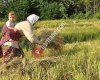 Kovancilar Ziraat ODASI Başkanliği