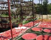 Köybahçem