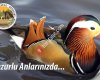 Kubilayyaylaciftligi elsazıkõyû