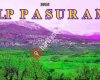 KULP PASUR AMED